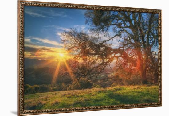 Sunset Oak, Mount Diablo State Park, Northern California-Vincent James-Framed Photographic Print