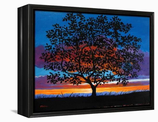Sunset Oak-Patty Baker-Framed Stretched Canvas