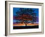 Sunset Oak-Patty Baker-Framed Art Print