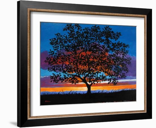 Sunset Oak-Patty Baker-Framed Art Print