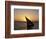 Sunset on a Felucca Fishing Boat, Tunisia-Michele Molinari-Framed Photographic Print