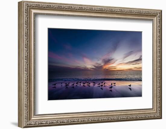 Sunset on Anna Marie Island on Florida's Gulf Coast Florida, USA-Richard Duval-Framed Photographic Print