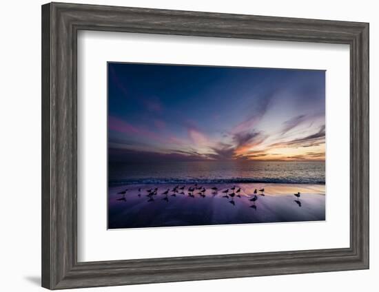 Sunset on Anna Marie Island on Florida's Gulf Coast Florida, USA-Richard Duval-Framed Photographic Print