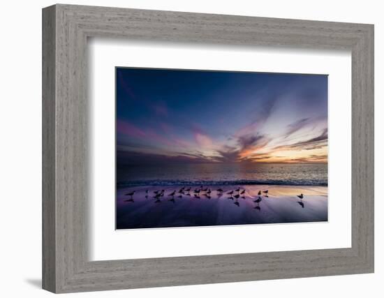 Sunset on Anna Marie Island on Florida's Gulf Coast Florida, USA-Richard Duval-Framed Photographic Print