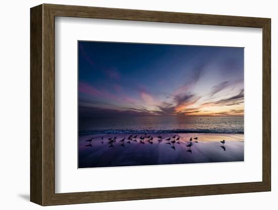 Sunset on Anna Marie Island on Florida's Gulf Coast Florida, USA-Richard Duval-Framed Photographic Print