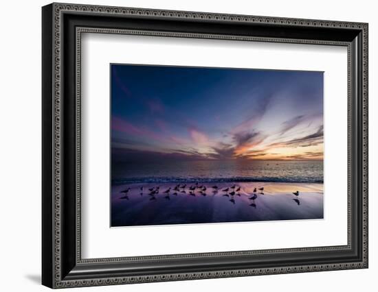 Sunset on Anna Marie Island on Florida's Gulf Coast Florida, USA-Richard Duval-Framed Photographic Print