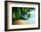 Sunset on Beach Anse Takamaka of Mahe Island, Seychelles-Iakov Kalinin-Framed Photographic Print