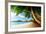 Sunset on Beach Anse Takamaka of Mahe Island, Seychelles-Iakov Kalinin-Framed Photographic Print