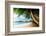 Sunset on Beach Anse Takamaka of Mahe Island, Seychelles-Iakov Kalinin-Framed Photographic Print