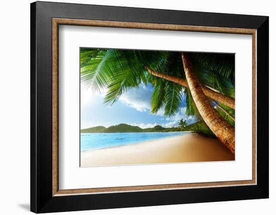 Sunset on Beach Anse Takamaka of Mahe Island, Seychelles-Iakov Kalinin-Framed Photographic Print