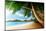 Sunset on Beach Anse Takamaka of Mahe Island, Seychelles-Iakov Kalinin-Mounted Photographic Print