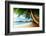 Sunset on Beach Anse Takamaka of Mahe Island, Seychelles-Iakov Kalinin-Framed Photographic Print