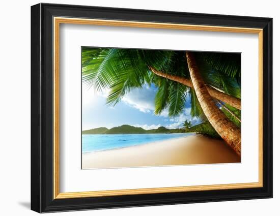 Sunset on Beach Anse Takamaka of Mahe Island, Seychelles-Iakov Kalinin-Framed Photographic Print