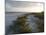 Sunset on Beach, Sanibel Island, Gulf Coast, Florida, United States of America, North America-Robert Harding-Mounted Photographic Print