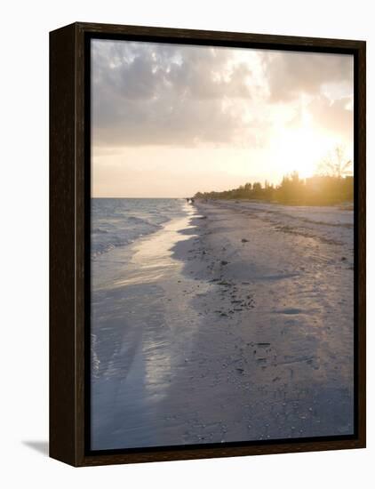 Sunset on Beach, Sanibel Island, Gulf Coast, Florida, United States of America, North America-Robert Harding-Framed Premier Image Canvas