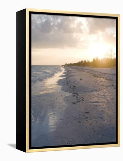 Sunset on Beach, Sanibel Island, Gulf Coast, Florida, United States of America, North America-Robert Harding-Framed Premier Image Canvas