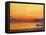 Sunset on Coast (Oil on Panel)-Professor Filiberto Minozzi-Framed Premier Image Canvas