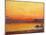 Sunset on Coast (Oil on Panel)-Professor Filiberto Minozzi-Mounted Giclee Print