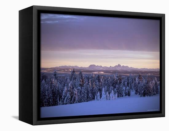 Sunset on Grand Tetons from Two Tops, West Yellowstone, Montana, USA-Alison Wright-Framed Premier Image Canvas