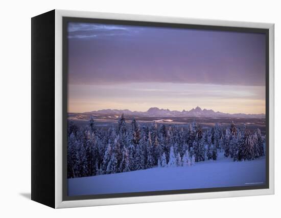 Sunset on Grand Tetons from Two Tops, West Yellowstone, Montana, USA-Alison Wright-Framed Premier Image Canvas