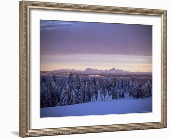 Sunset on Grand Tetons from Two Tops, West Yellowstone, Montana, USA-Alison Wright-Framed Photographic Print