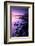 Sunset on Kimmeridge Bay, Isle of Purbeck, Dorset, UK-Ross Hoddinott-Framed Photographic Print