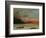 Sunset on Lake Geneva, 1874-Gustave Courbet-Framed Giclee Print