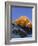 Sunset on Mount Everest, 8850M, Solu Khumbu Everest Region, Sagarmatha National Park, Himalayas-Christian Kober-Framed Photographic Print