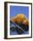 Sunset on Mount Everest, 8850M, Solu Khumbu Everest Region, Sagarmatha National Park, Himalayas-Christian Kober-Framed Photographic Print