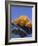 Sunset on Mount Everest, 8850M, Solu Khumbu Everest Region, Sagarmatha National Park, Himalayas-Christian Kober-Framed Photographic Print