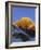 Sunset on Mount Everest, 8850M, Solu Khumbu Everest Region, Sagarmatha National Park, Himalayas-Christian Kober-Framed Photographic Print