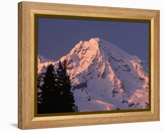 Sunset on Mount Rainier-John McAnulty-Framed Premier Image Canvas