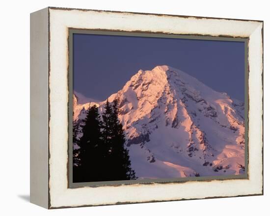 Sunset on Mount Rainier-John McAnulty-Framed Premier Image Canvas