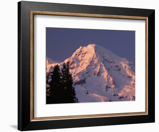 Sunset on Mount Rainier-John McAnulty-Framed Photographic Print