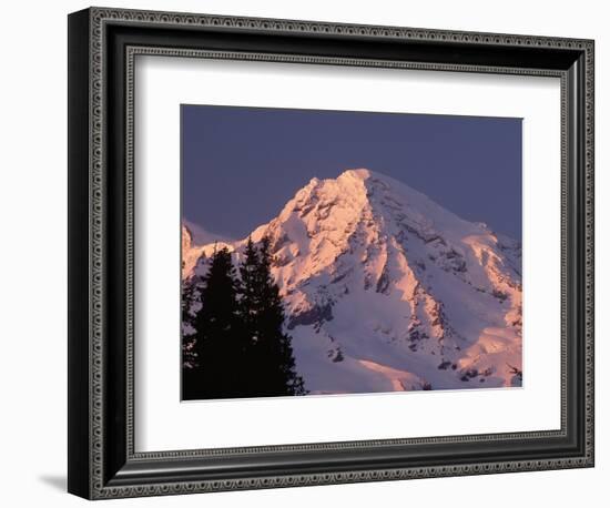 Sunset on Mount Rainier-John McAnulty-Framed Photographic Print