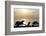 Sunset on Ocean, La Jolla, California, USA-Jaynes Gallery-Framed Photographic Print