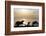 Sunset on Ocean, La Jolla, California, USA-Jaynes Gallery-Framed Photographic Print