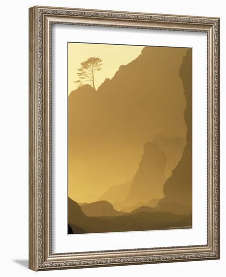 Sunset on Point of Arches, Olympic National Park, Washington, USA-Adam Jones-Framed Photographic Print