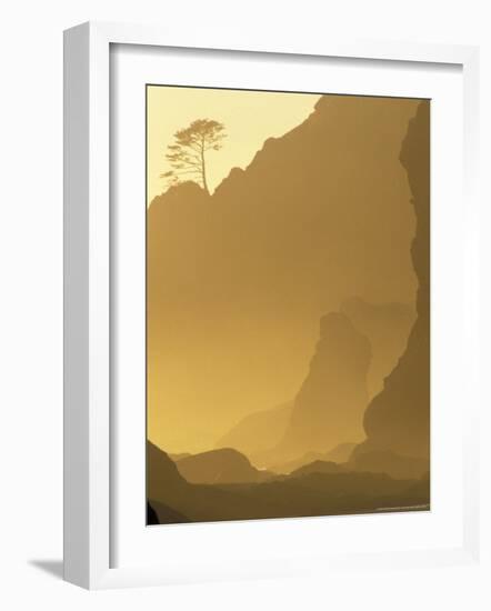 Sunset on Point of Arches, Olympic National Park, Washington, USA-Adam Jones-Framed Photographic Print