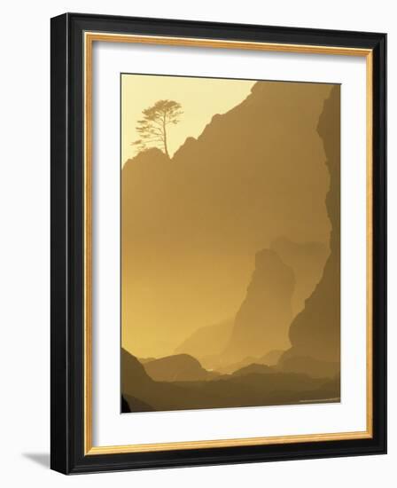 Sunset on Point of Arches, Olympic National Park, Washington, USA-Adam Jones-Framed Photographic Print