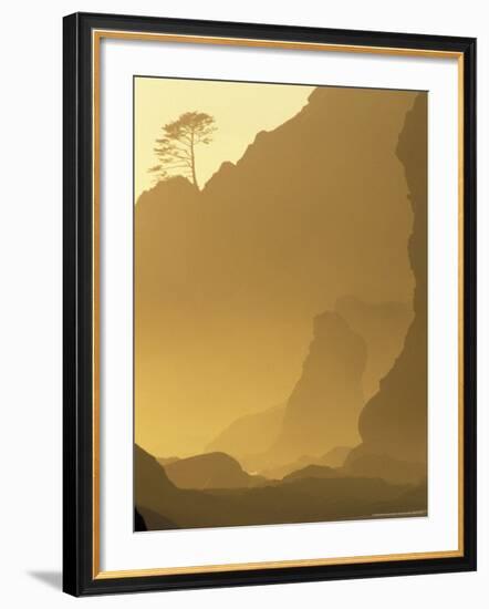 Sunset on Point of Arches, Olympic National Park, Washington, USA-Adam Jones-Framed Photographic Print