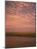 Sunset on pond, Geary County, Kansas, USA-Charles Gurche-Mounted Photographic Print