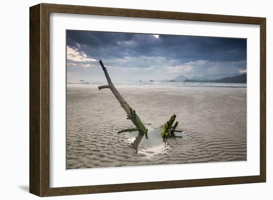 Sunset on Praia Da Fazenda Beach-Alex Saberi-Framed Photographic Print