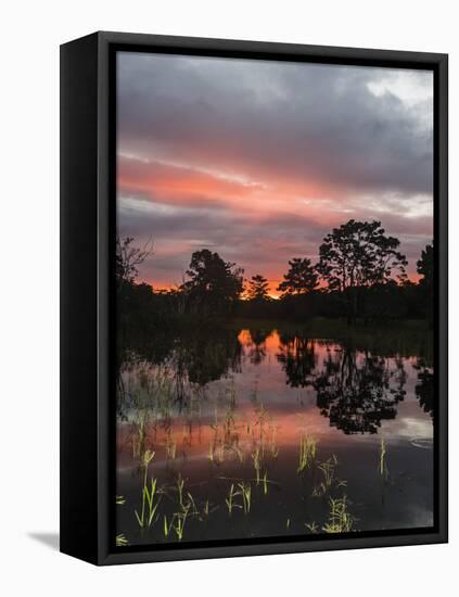 Sunset on Rio El Dorado, Pacaya-Samiria Reserve, Loreto, Peru-Michael Nolan-Framed Premier Image Canvas