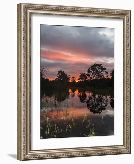 Sunset on Rio El Dorado, Pacaya-Samiria Reserve, Loreto, Peru-Michael Nolan-Framed Photographic Print
