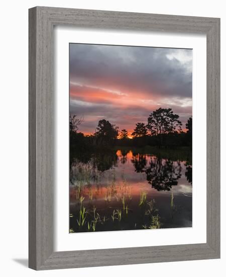 Sunset on Rio El Dorado, Pacaya-Samiria Reserve, Loreto, Peru-Michael Nolan-Framed Photographic Print