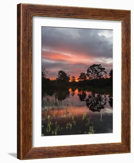 Sunset on Rio El Dorado, Pacaya-Samiria Reserve, Loreto, Peru-Michael Nolan-Framed Photographic Print