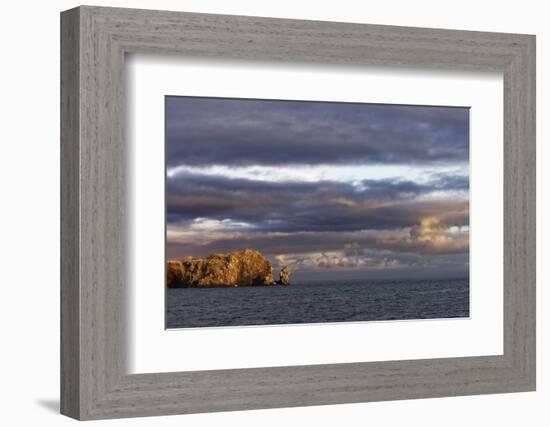 Sunset on rocky outcropping, Espanola Island, Galapagos Islands, Ecuador.-Adam Jones-Framed Photographic Print