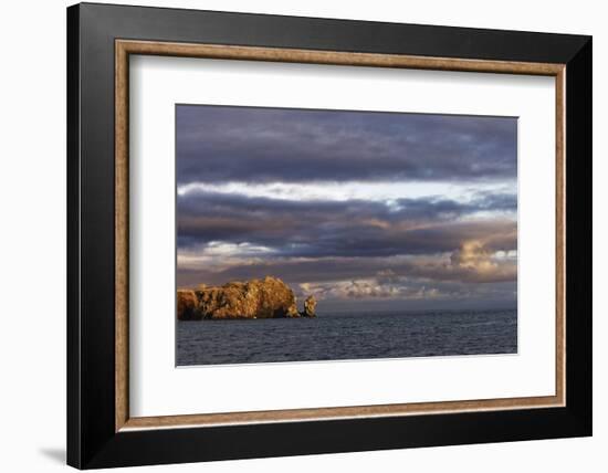 Sunset on rocky outcropping, Espanola Island, Galapagos Islands, Ecuador.-Adam Jones-Framed Photographic Print