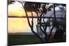 Sunset on Shinn Creek II-Alan Hausenflock-Mounted Photographic Print